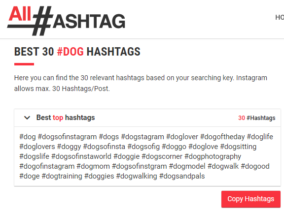 Die besten Hunde-Hashtags